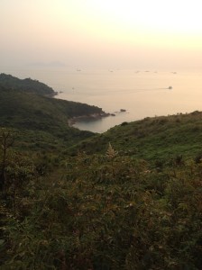 IMG_3533